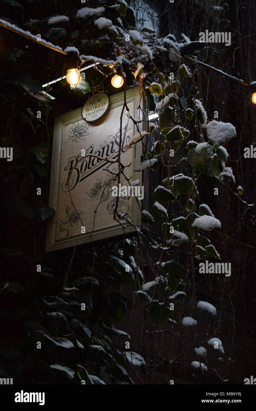 Chester il botanico di firmare con uno strato di neve Foto Stock