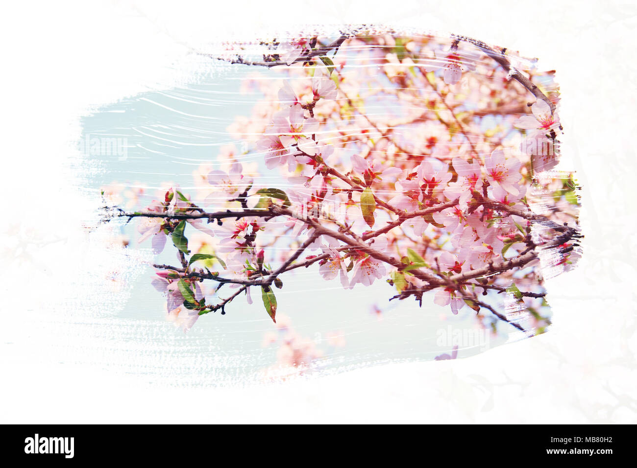 Sognante e immagine astratta di ciliegio. doppia esposizione con effetto acquerello pennello texture Foto Stock