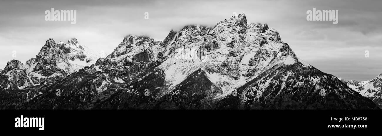 Neve sulle montagne del Parco Nazionale di Grand Teton in Wyoming, visto in monocromatico. Foto Stock