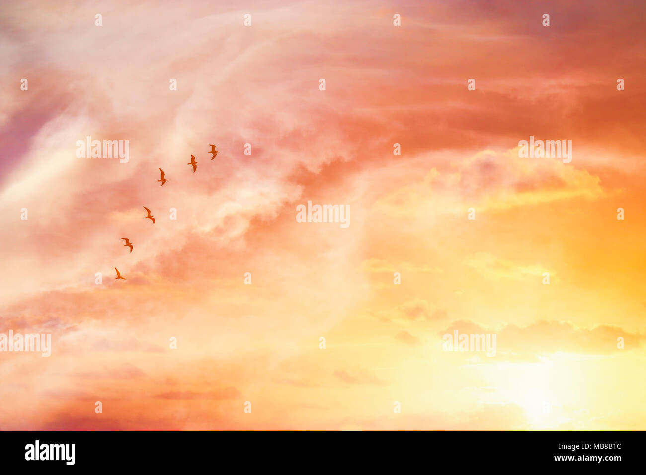 Surreale immagine enigmatica di uccelli in volo nel tramonto o l'alba cielo . minimalismo e concetto di sogno Foto Stock