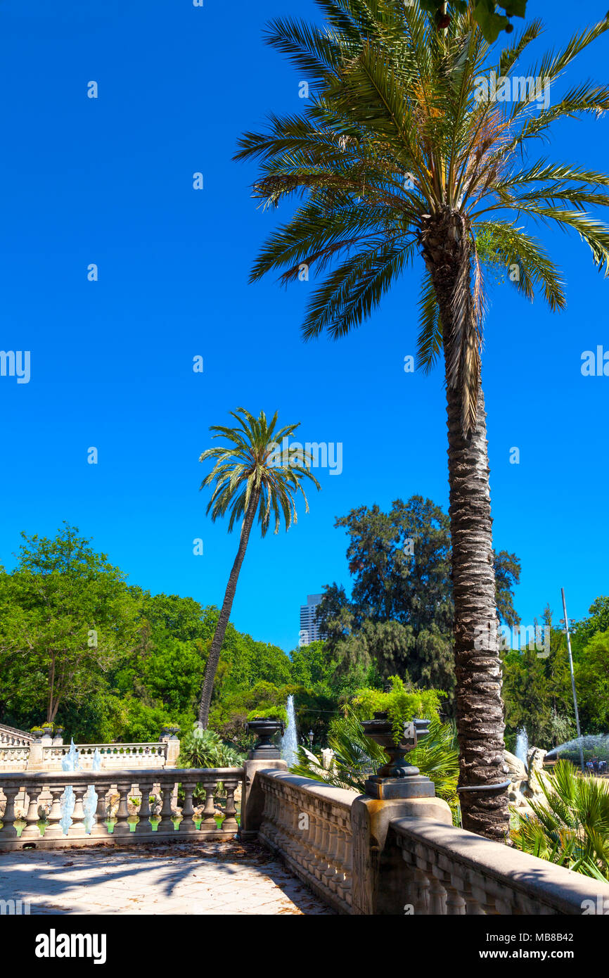 Alte palme presso la Cascada fontana monumentale di Parc de la Ciutadella, Barcellona, Spagna Foto Stock