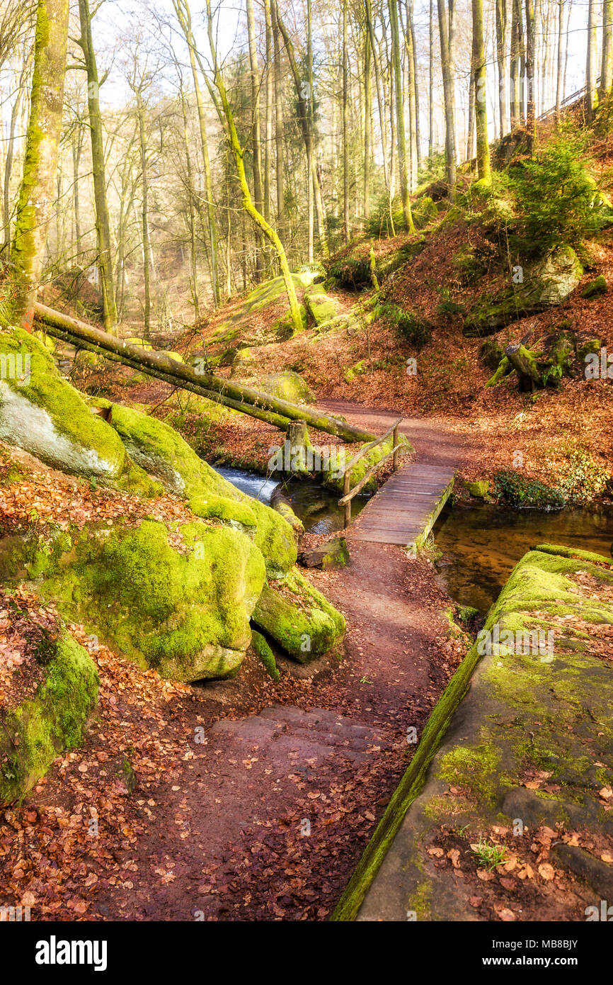 Inverno mattina nel Karlstal vicino Trippstadt Foto Stock