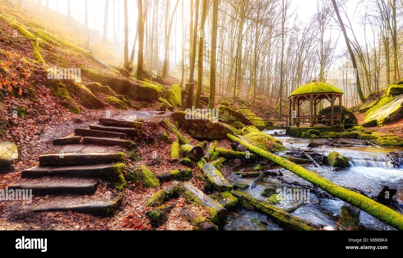 Inverno mattina nel Karlstal vicino Trippstadt Foto Stock