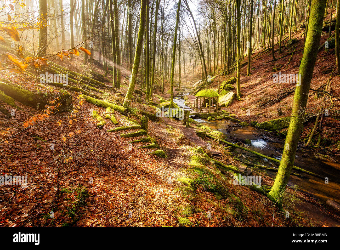 Inverno mattina nel Karlstal vicino Trippstadt Foto Stock