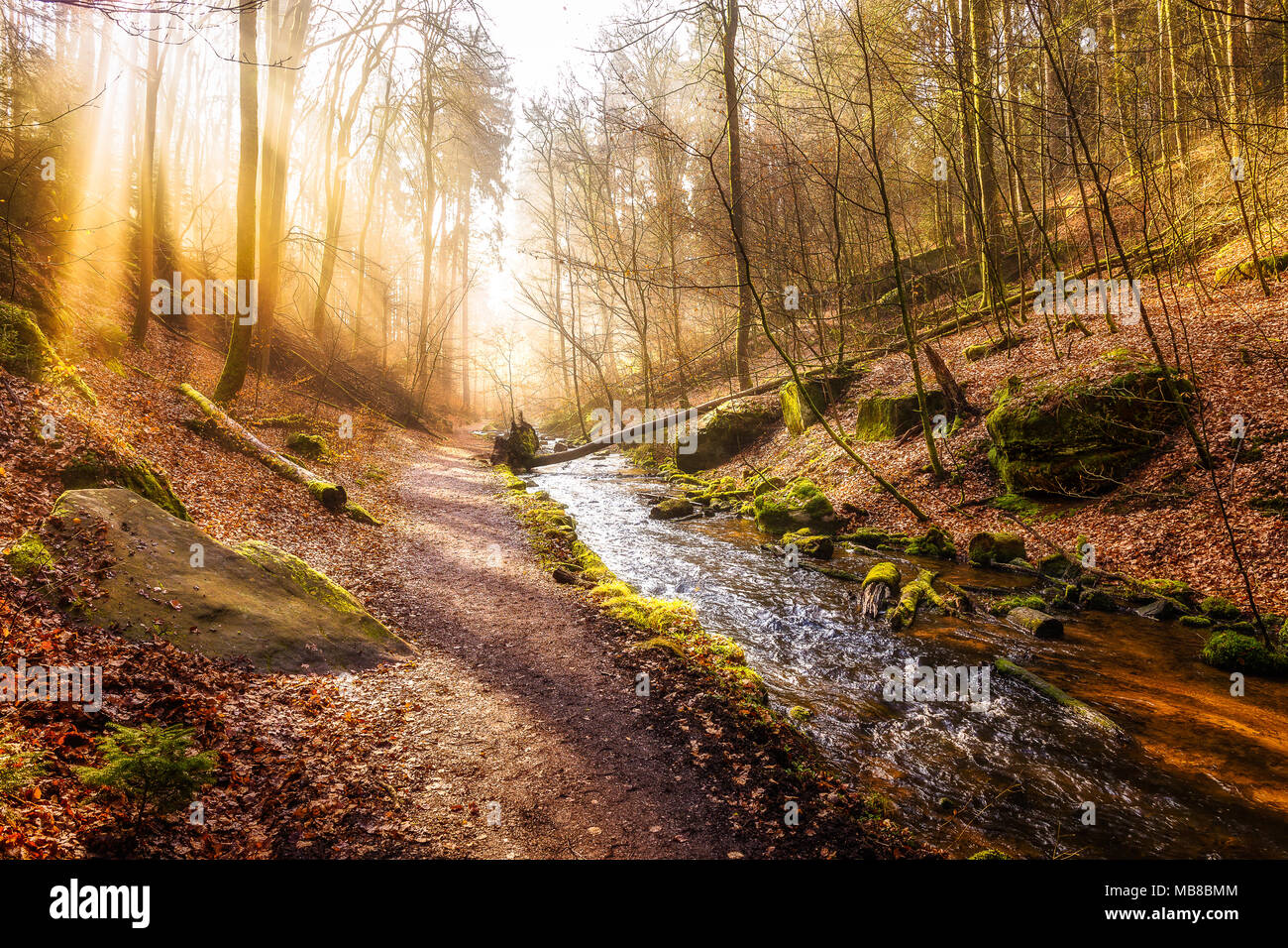 Inverno mattina nel Karlstal vicino Trippstadt Foto Stock