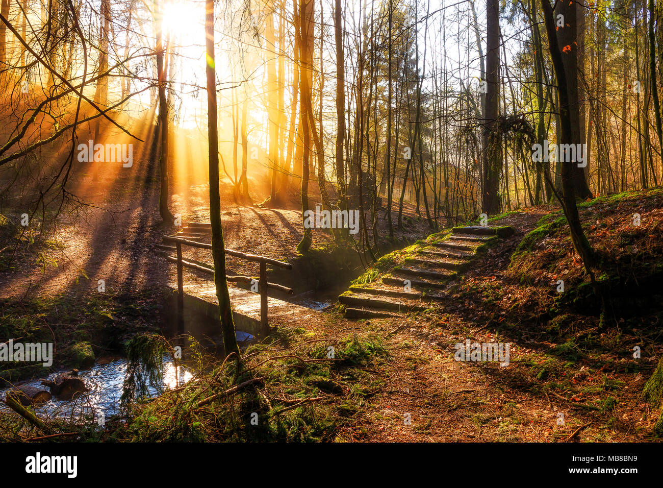 Inverno mattina nel Karlstal vicino Trippstadt Foto Stock