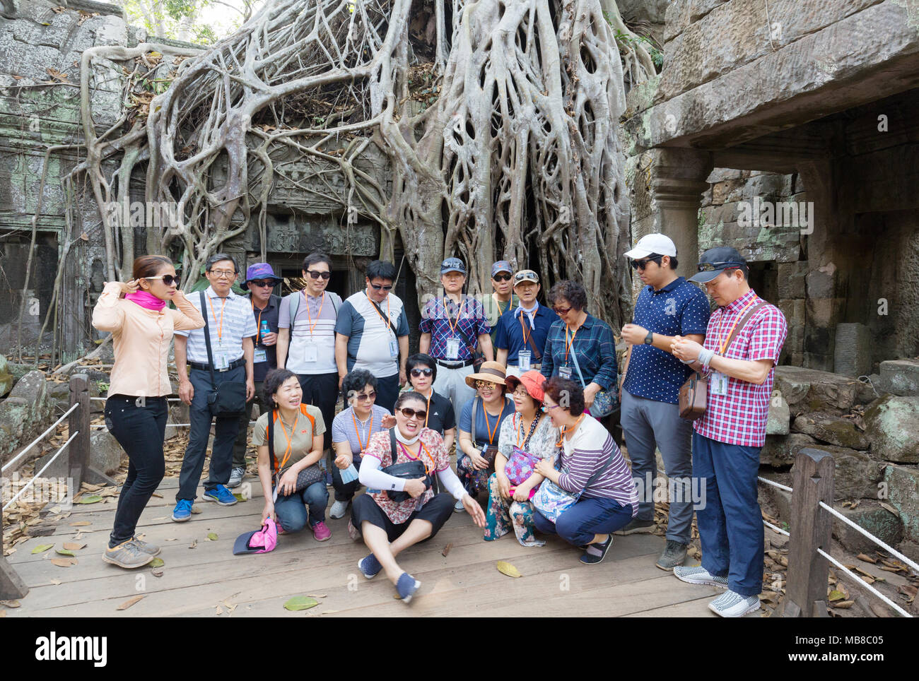 Tour cinese - gruppo di turisti cinesi in vacanza al Ta Prohm tempio Angkor Sito, Cambogia Asia Foto Stock