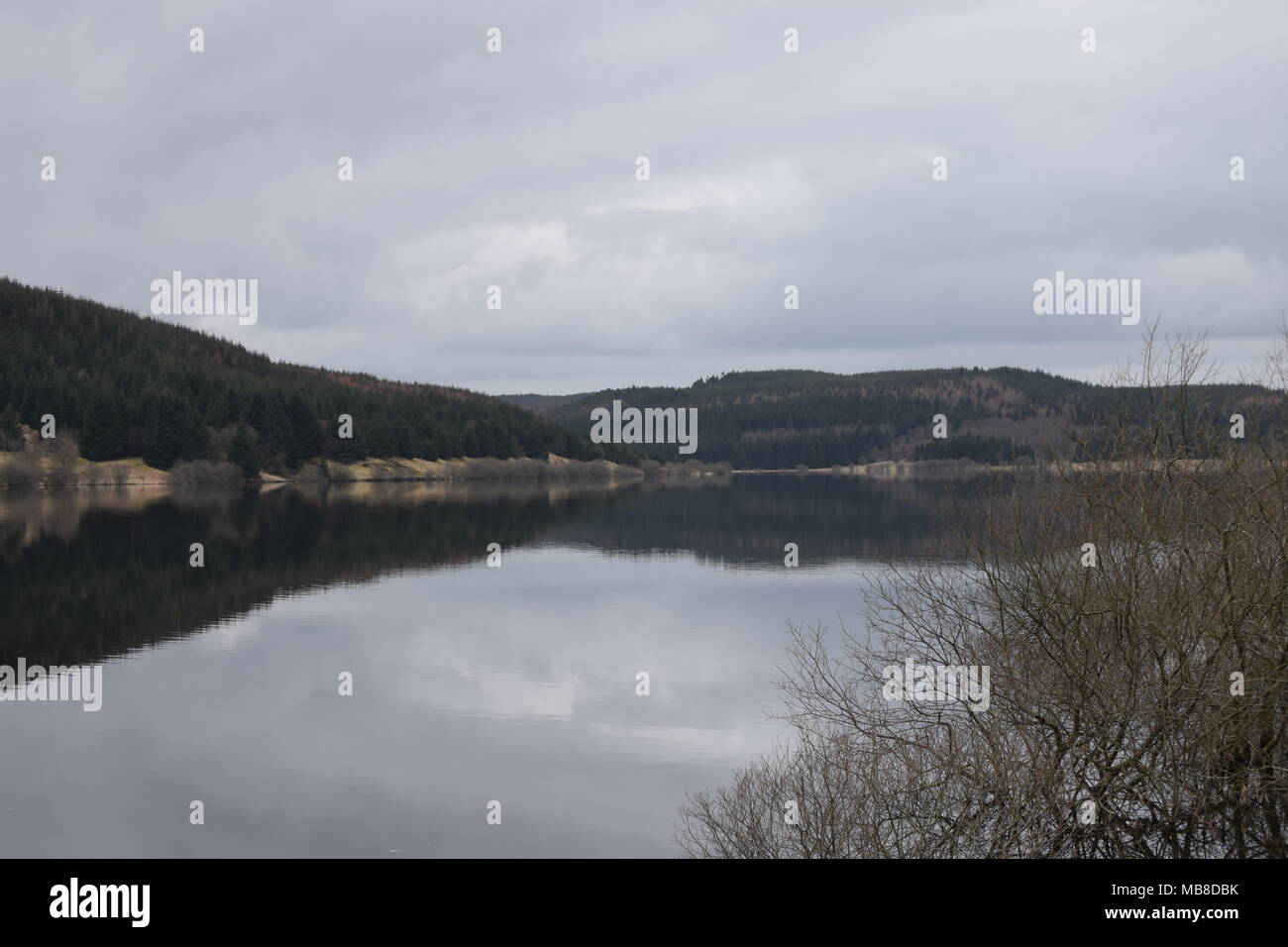 Carron valley serbatoio Stirlingshire Scozia' 'crossbill' 'carron valley' 'Scotland' fortilizio medievale ' dam" "cascate campeggio fells'. Foto Stock