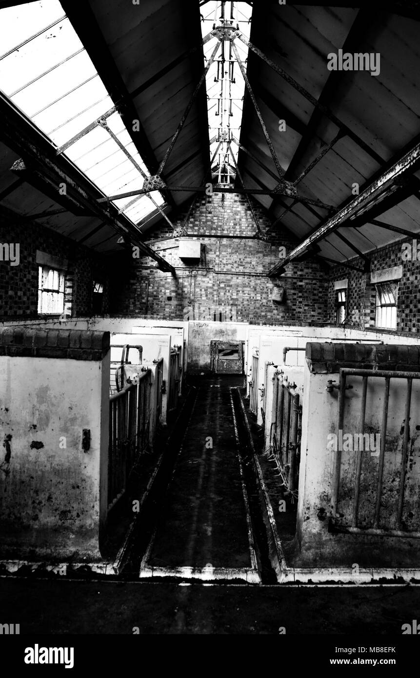 Decadimento e distruzione all'interno del paesaggio Foto Stock