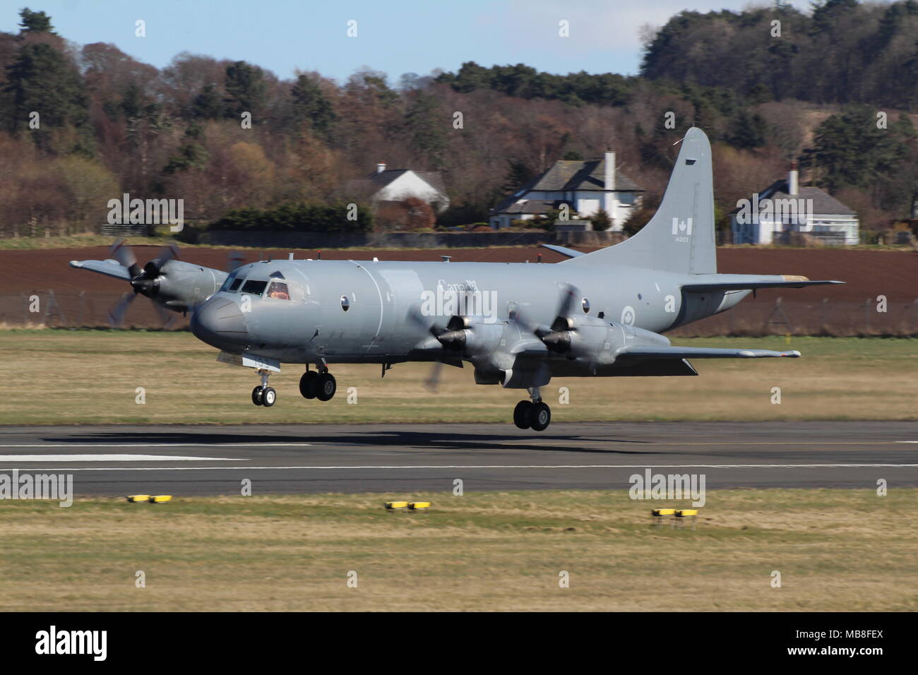 130103, un Lockheed CP-140 Aurora gestito dalla Royal Canadian Air Force, presso l'Aeroporto di Prestwick in Ayrshire. Foto Stock