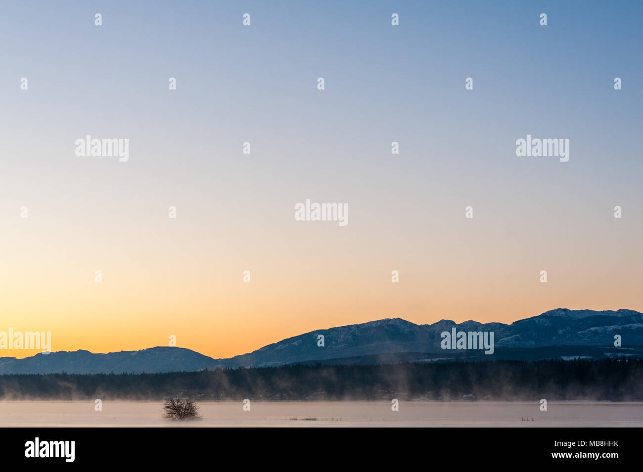 Nebbia di mattina all'alba al Comox estuario, Comox Valley, British Columbia Foto Stock