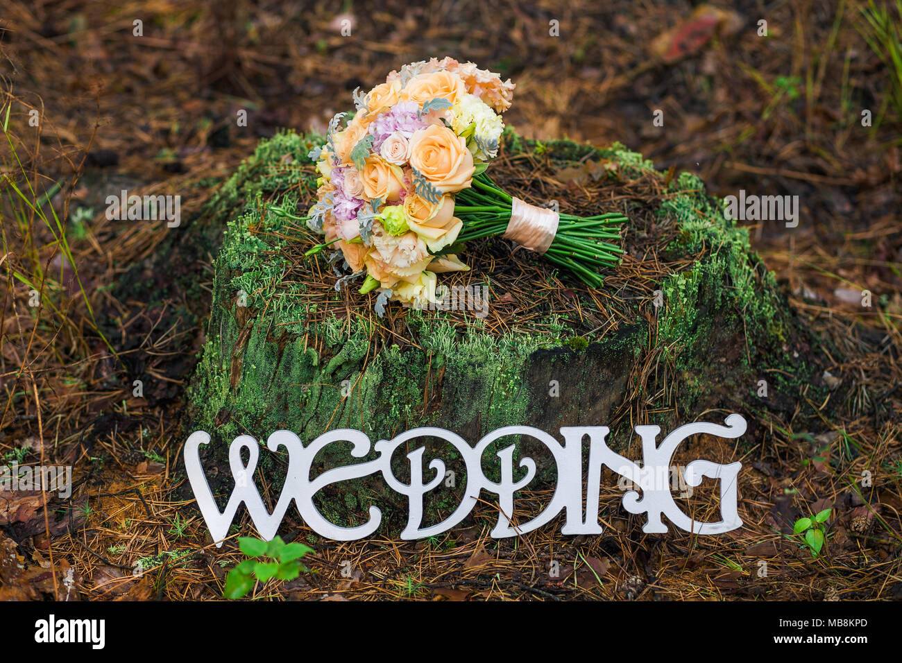 Bouquet di nuziale fiori sulla parte superiore del vecchio ceppo. Decorate posto in antico legno di autunno per la cerimonia di nozze. Stile rustico di elementi di arredamento. Whi Foto Stock
