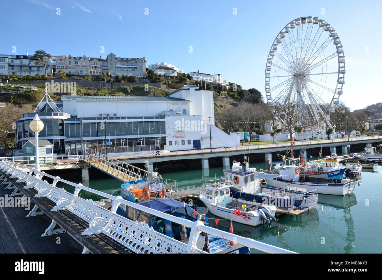 Torquay porto e marina sulla Riviera Inglese nel Devon con la Riviera Inglese ruota di attrazione turistica e il Teatro Principessa Foto Stock