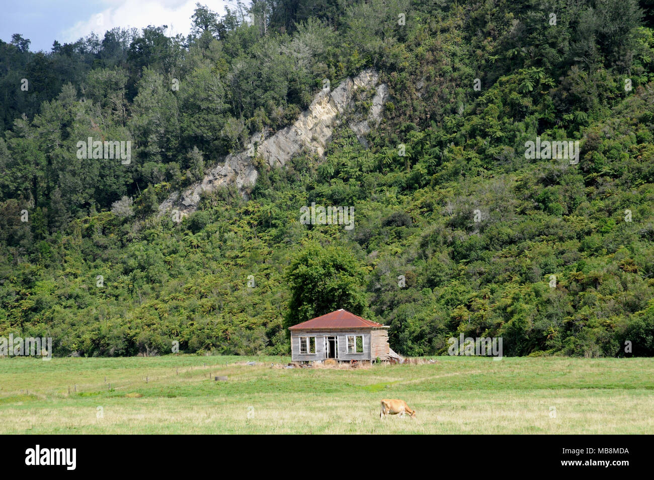 Un vecchio casale visibile da Arapito Road vicino a Karamea, Westlands, South Island, in Nuova Zelanda. La casa colonica è che non tutto è apparso! Foto Stock