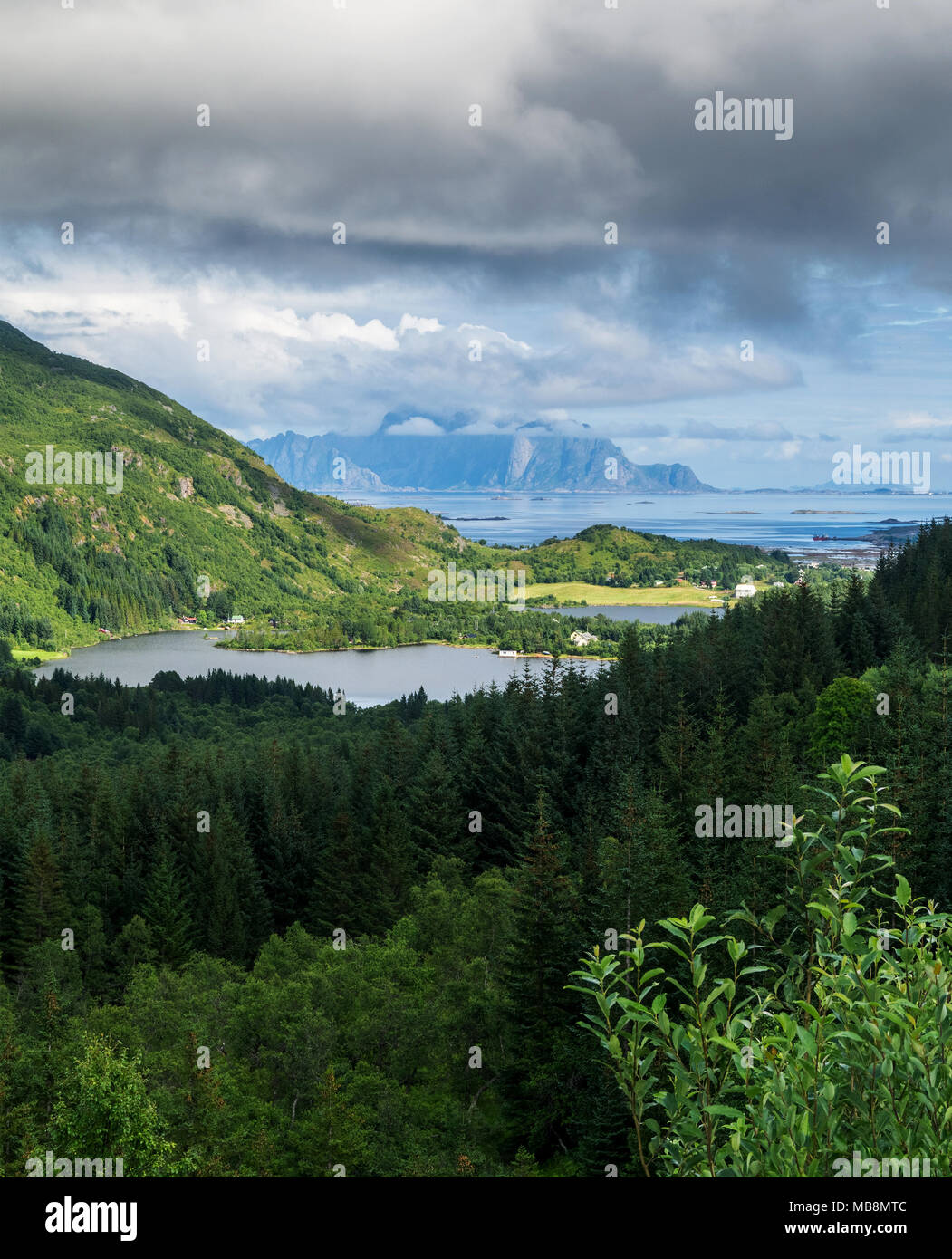 Bosco in primo piano, blu montagne in distanza, arcipelago delle Lofoten, Norvegia. Nazionale percorso turistico Lofoten Foto Stock