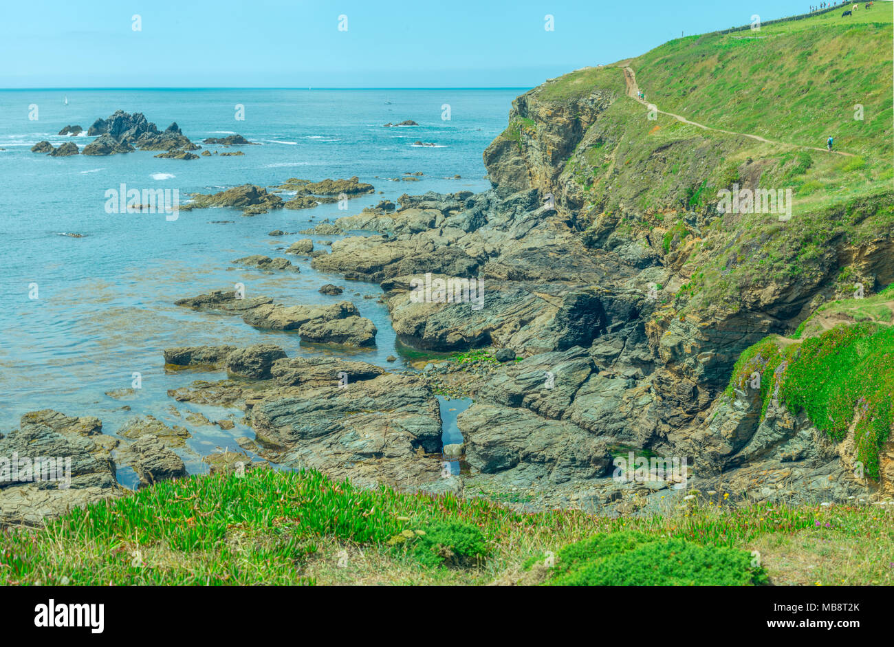 Parte del paesaggio roccioso che forma la zona peninsulare attorno a Lizard Point, in Cornovaglia che la maggior parte di terra a sud delle Isole Britanniche Foto Stock