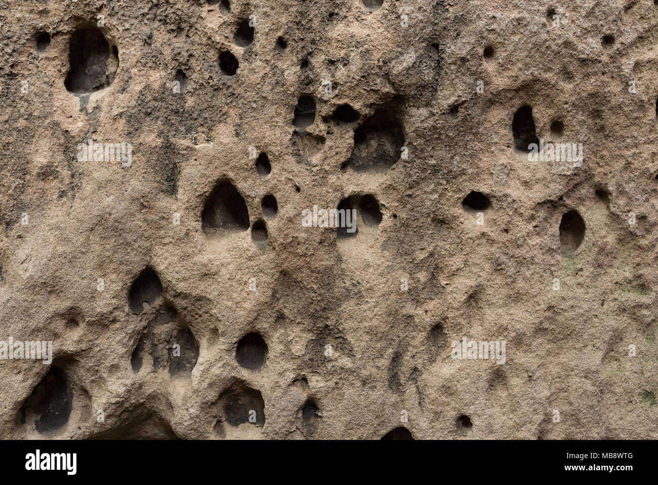 Superficie della roccia di sabbia con piccole e grandi fori realizzati da erosione Foto Stock