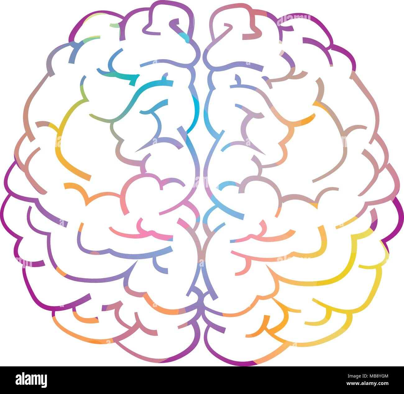 Destra e sinistra emisfero del cervello umano Illustrazione Vettoriale
