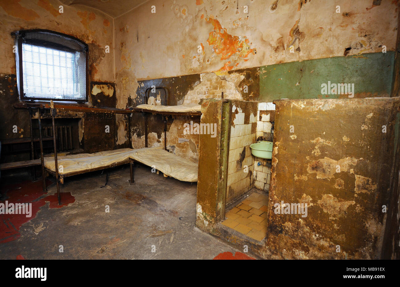 Cuccette, materassi, finestra con barre in una cella vuota per detenuti adulti. Detenzione Lukyanovskaya facility. Febbraio 21,2018. Kiev,Ucraina Foto Stock