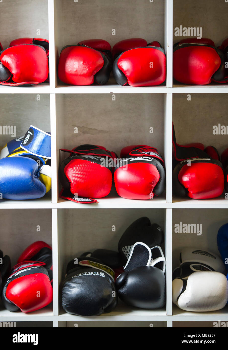 Varie colorato i guantoni memorizzati su scaffali in un boxing palestra Foto Stock