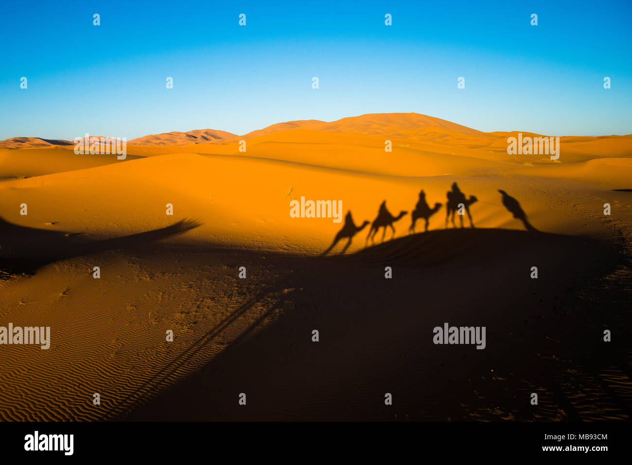Ampia angolazione del caravan in viaggio e cammelli ombre sulle dune di sabbia nel deserto del Sahara Foto Stock