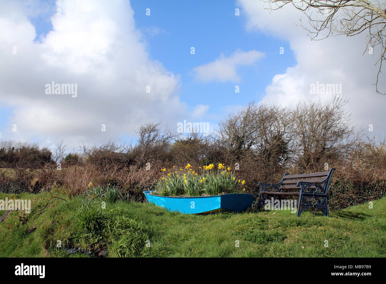 Barca blu piena di tulipani, primavera Foto Stock