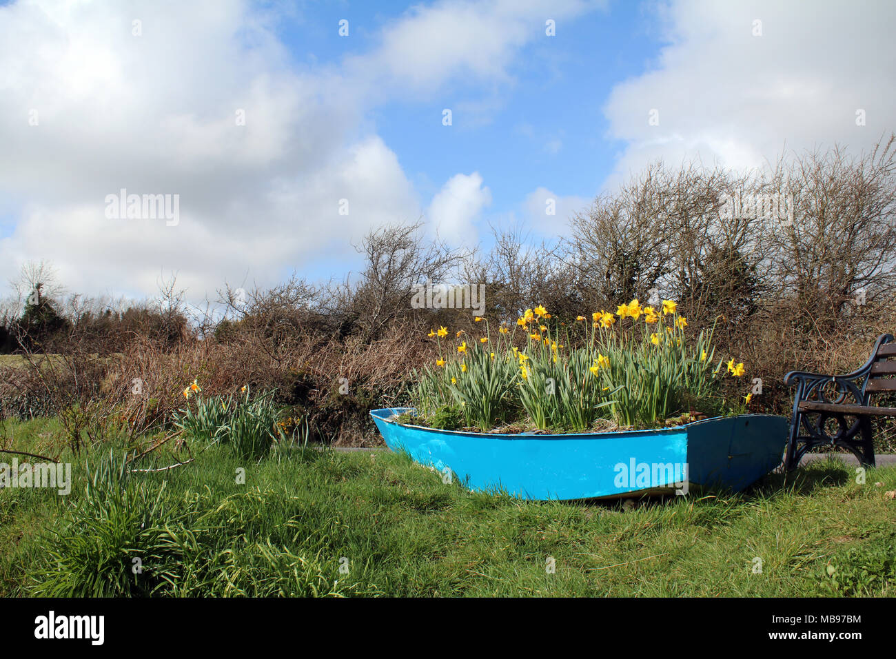 Barca blu piena di tulipani, primavera Foto Stock