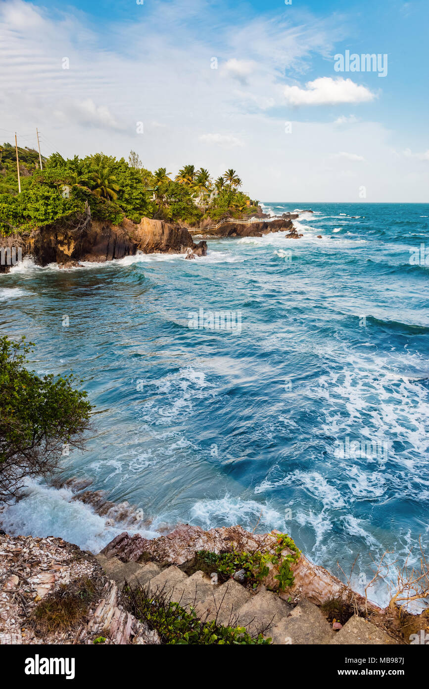 Trasduttore Toco Trinidad e Tobago West Indies ruvida spiaggia mare scogliera vista di bordo Foto Stock