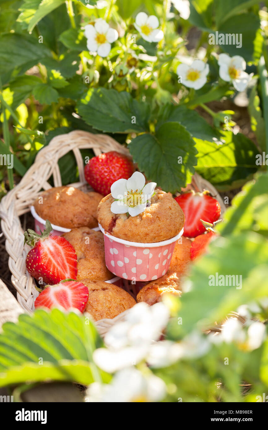 Muffin con fragole nel giardino con le fragole. Foto Stock