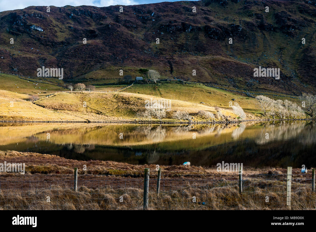 Fintown, County Donegal, Irlanda, ancora riflessioni del Lough Finn. Foto Stock