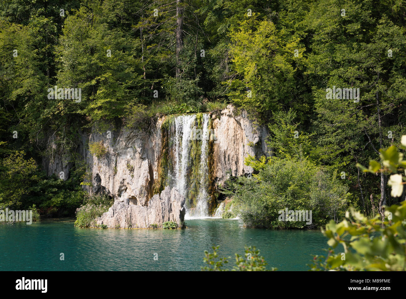 Cascate del Parco nazionale dei Laghi di Plitvice, Croazia Foto Stock