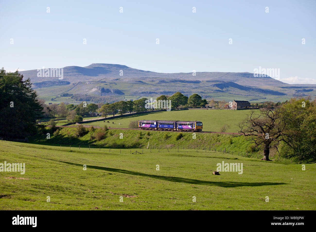 Una rampa settentrionale classe 144 treno dello stimolatore a Armistead (tra Clapham & Giggleswick, Yorkshire) con un Leeds a Morecambe treno Foto Stock