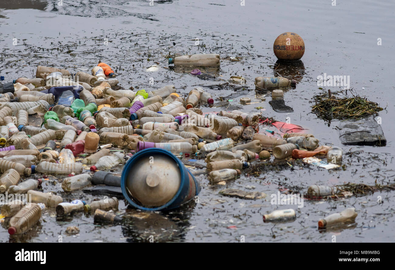 Rifiuti uso singole bottiglie in plastica visto galleggianti nell'acqua a Cardiff Bay, Wales, Regno Unito. Foto Stock