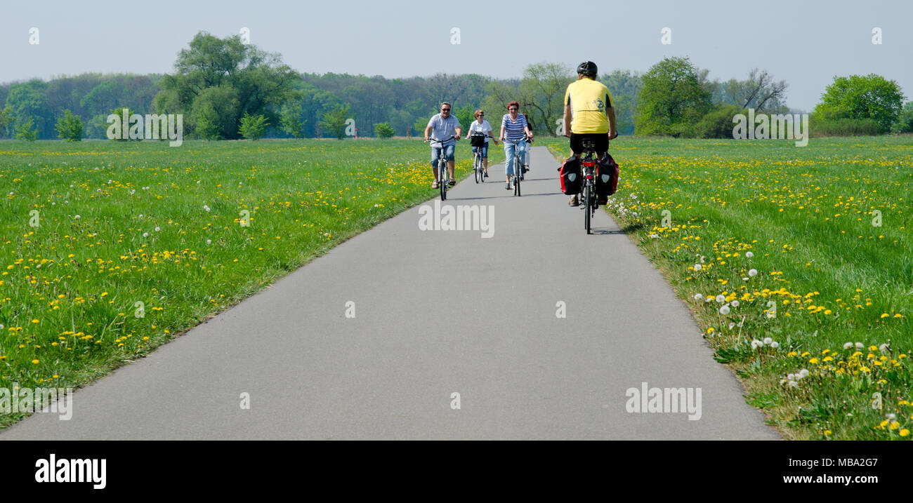 I ciclisti sull'Elba ciclabile Elberadweg () non lontano dal villaggio di Elster, Germania, il 01 maggio 2012. Il 1.220-chilometro Elba ciclabile si estende da Spindleruv Mlyn nel nord della Repubblica ceca e termina in Cuxhaven presso la foce del fiume Elba nel Mare del Nord. | Utilizzo di tutto il mondo Foto Stock