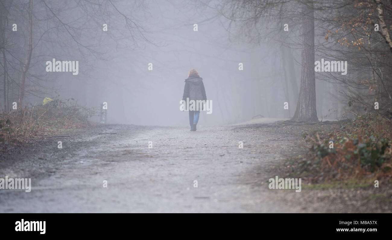 Thorndon Country Park, Brentwood, Essex, Regno Unito. Il 9 aprile 2018. Il 9 aprile 2018 una nebbia pesante è sceso su di Thorndon Country Park, Brentwood, Essex a metà pomeriggio. Il parco è molto popolare con cane locale degli scuotipaglia e ramblers.Credit Ian Davidson/Alamy Live News Foto Stock