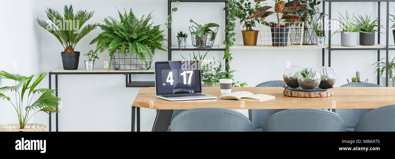 Tazza da caffè, laptop e libro aperto posto su una tavola di legno con interni bianchi con molte piante Foto Stock