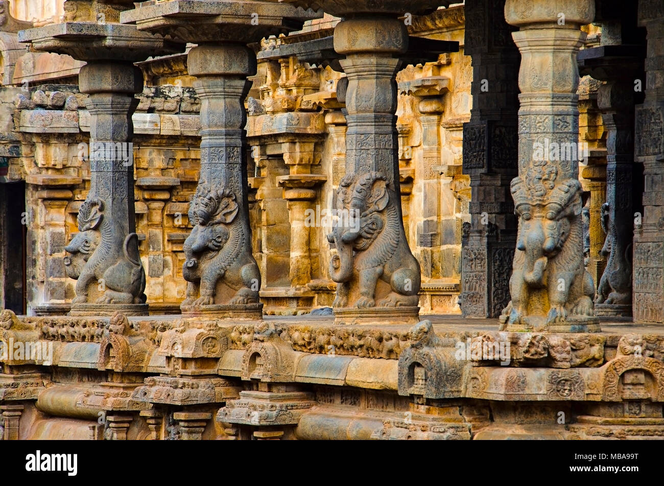 Idoli scolpiti sulla parete interna del Tempio Airavatesvara, Darasuram, nei pressi di Kumbakonam, Tamil Nadu, India. Hindu Shiva tempio del Tamil architettura, costruito Foto Stock