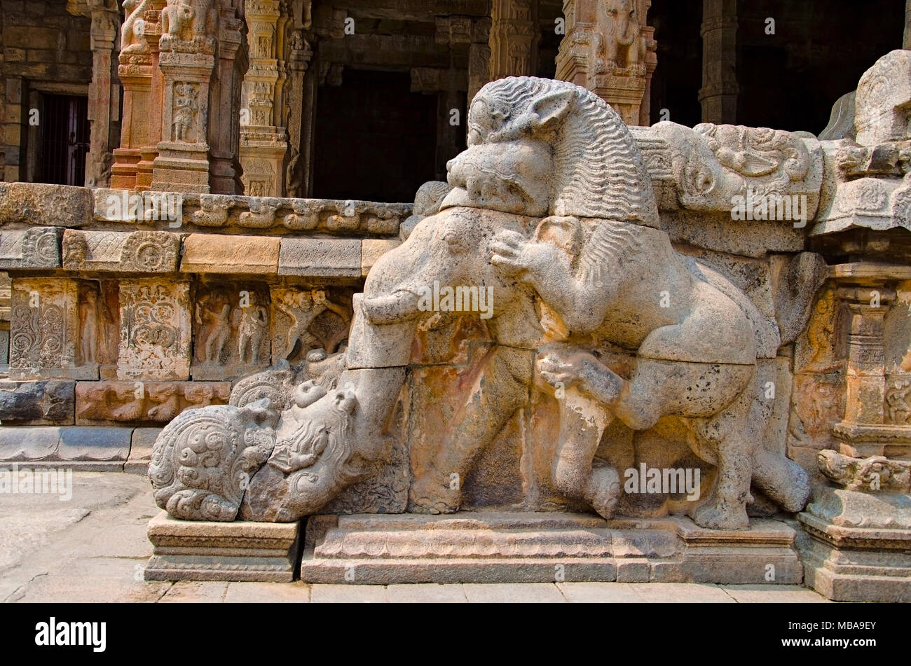 Scolpiti sulla scalinata del tempio Airavatesvara, Darasuram, nei pressi di Kumbakonam, Tamil Nadu, India. Hindu tempio di Shiva di architettura Tamil, costruito da Rajara Foto Stock