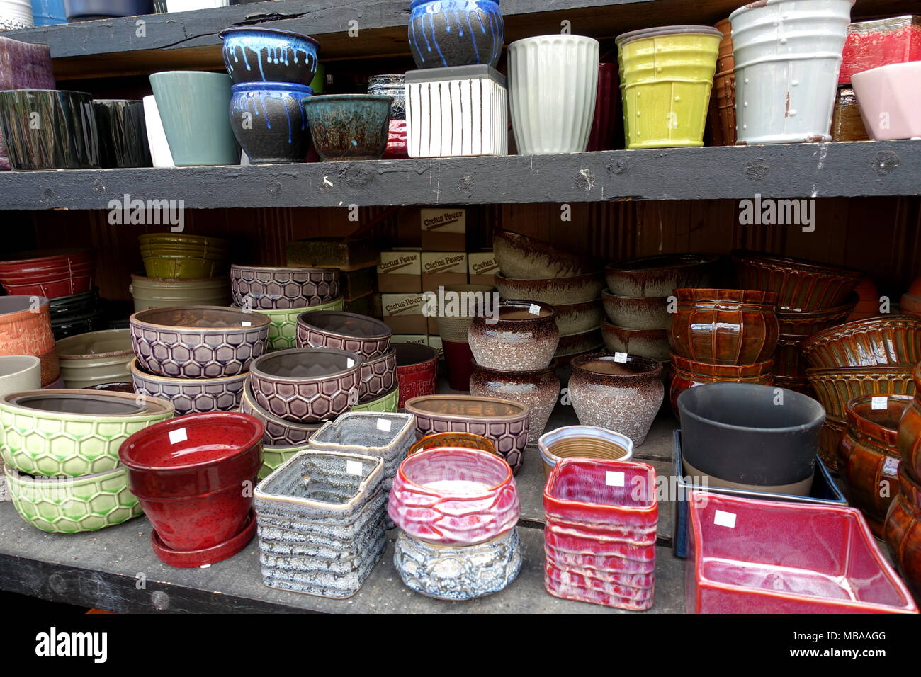 Varietà di piante succulente e vasi di fiori in vendita presso il vivaio Foto Stock