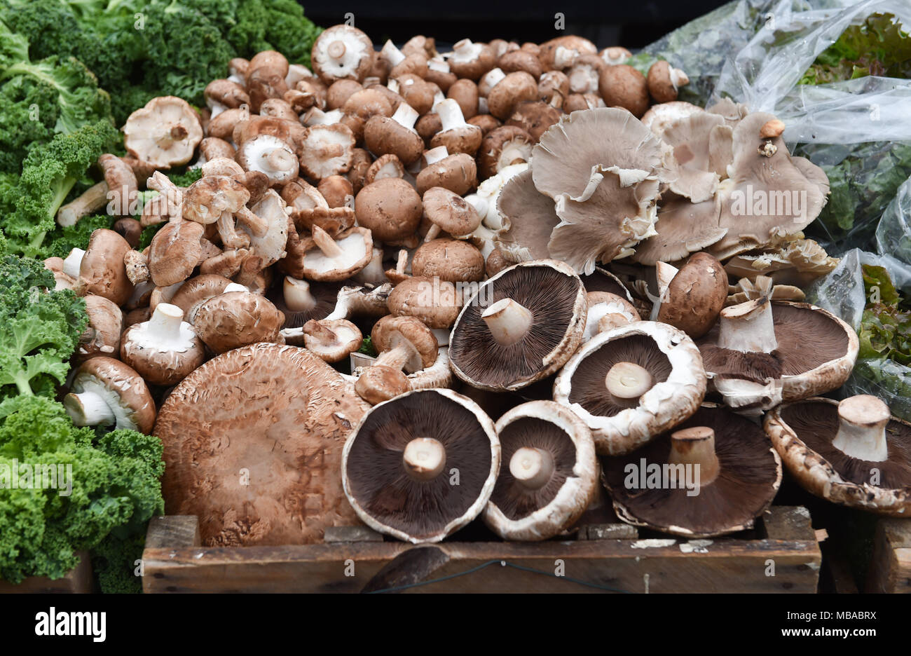 Diversi funghi in vendita presso la Sussex contadina fattoria mobile shop imposta accanto al pepe piatto a Queens Park a Brighton . Foto Stock
