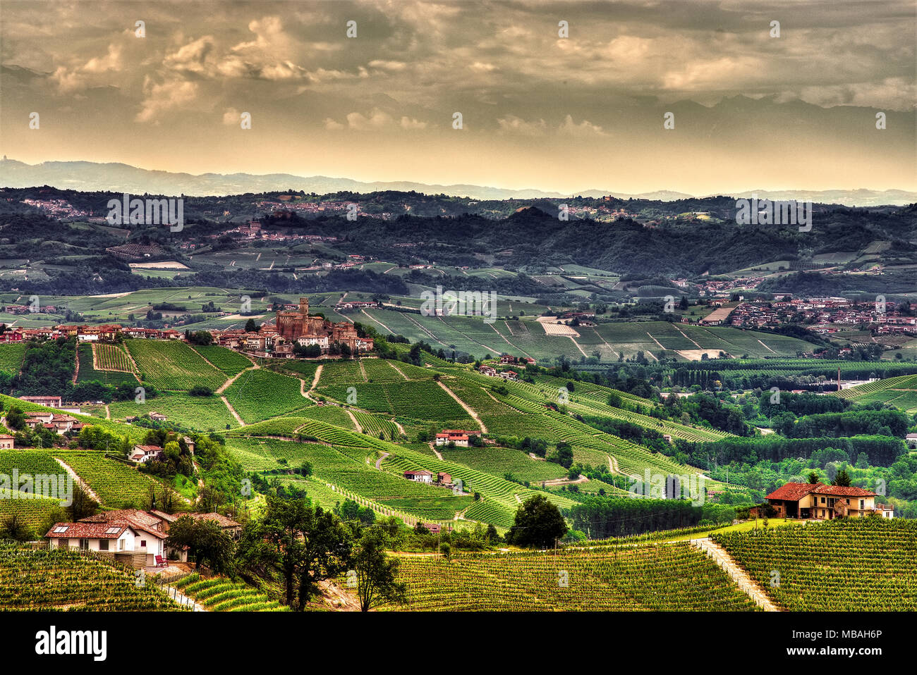 Un'ampia vista sulle colline delle Langhe coltivate a vigneti e punteggiate di fattorie e cantine, intorno al villaggio di Castiglione Falletto. Foto Stock