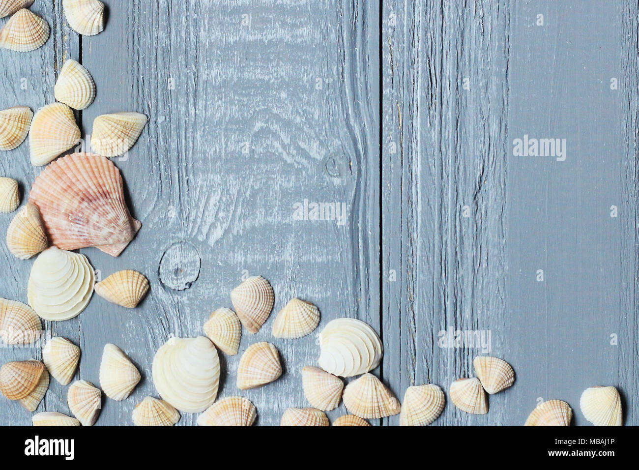 Originale di un telaio per il testo delle conchiglie blu su sfondo di legno Foto Stock