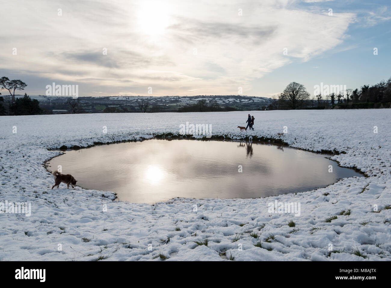 Il cane e il suo walker nei pressi di un laghetto nella neve, Ashton Court, Bristol, Regno Unito Foto Stock