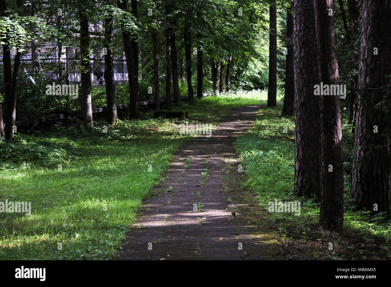 Bella estate paesaggio del parco con una strada Foto Stock