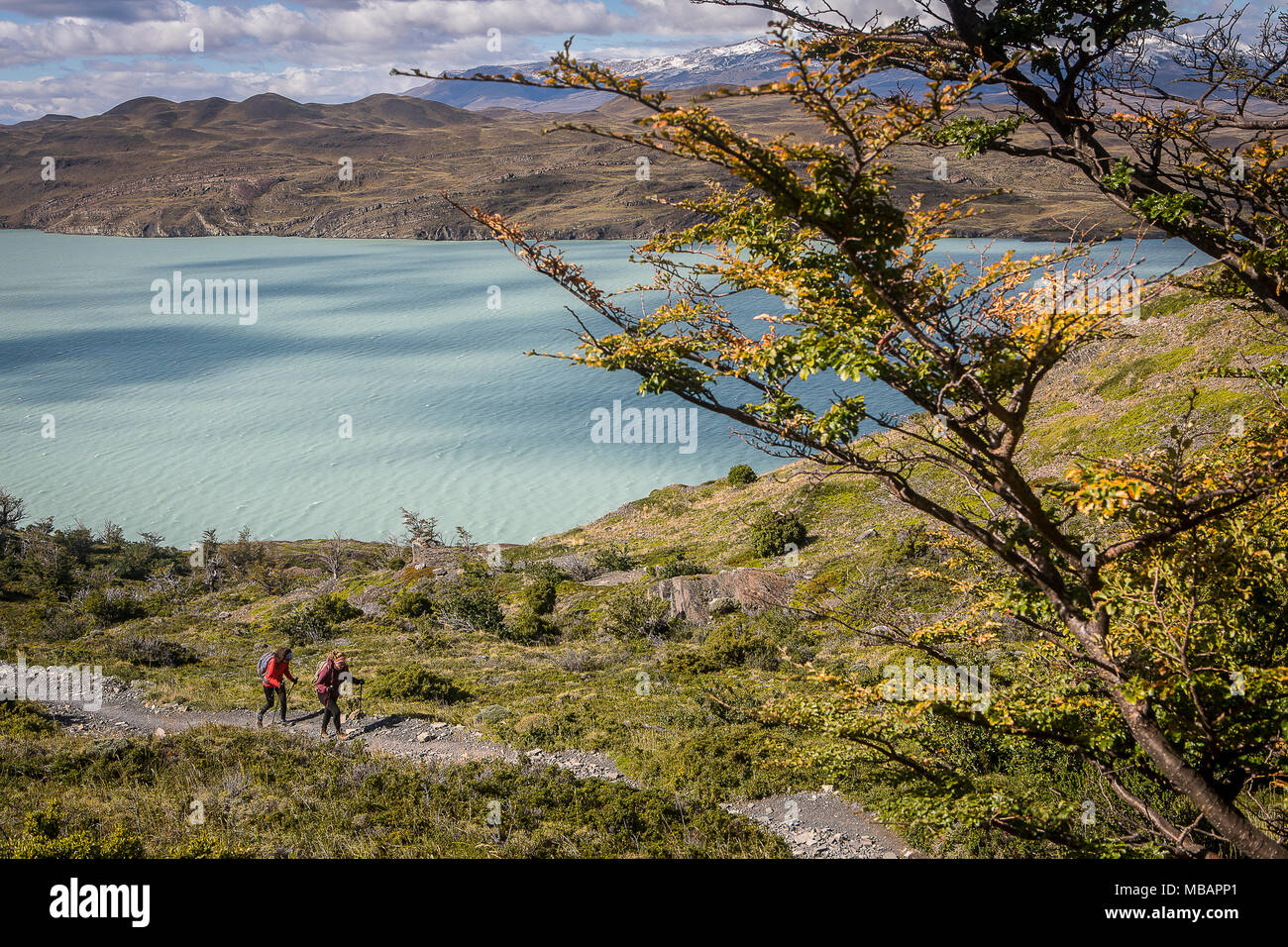 Gli escursionisti a piedi vicino Lago Nordenskjöld, parco nazionale Torres del Paine, Patagonia, Cile Foto Stock