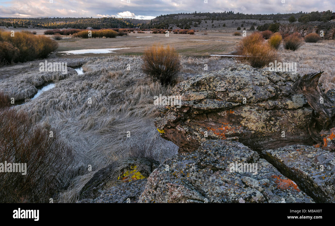 Central Oregon ginepro, lava, salici e licheni Foto Stock