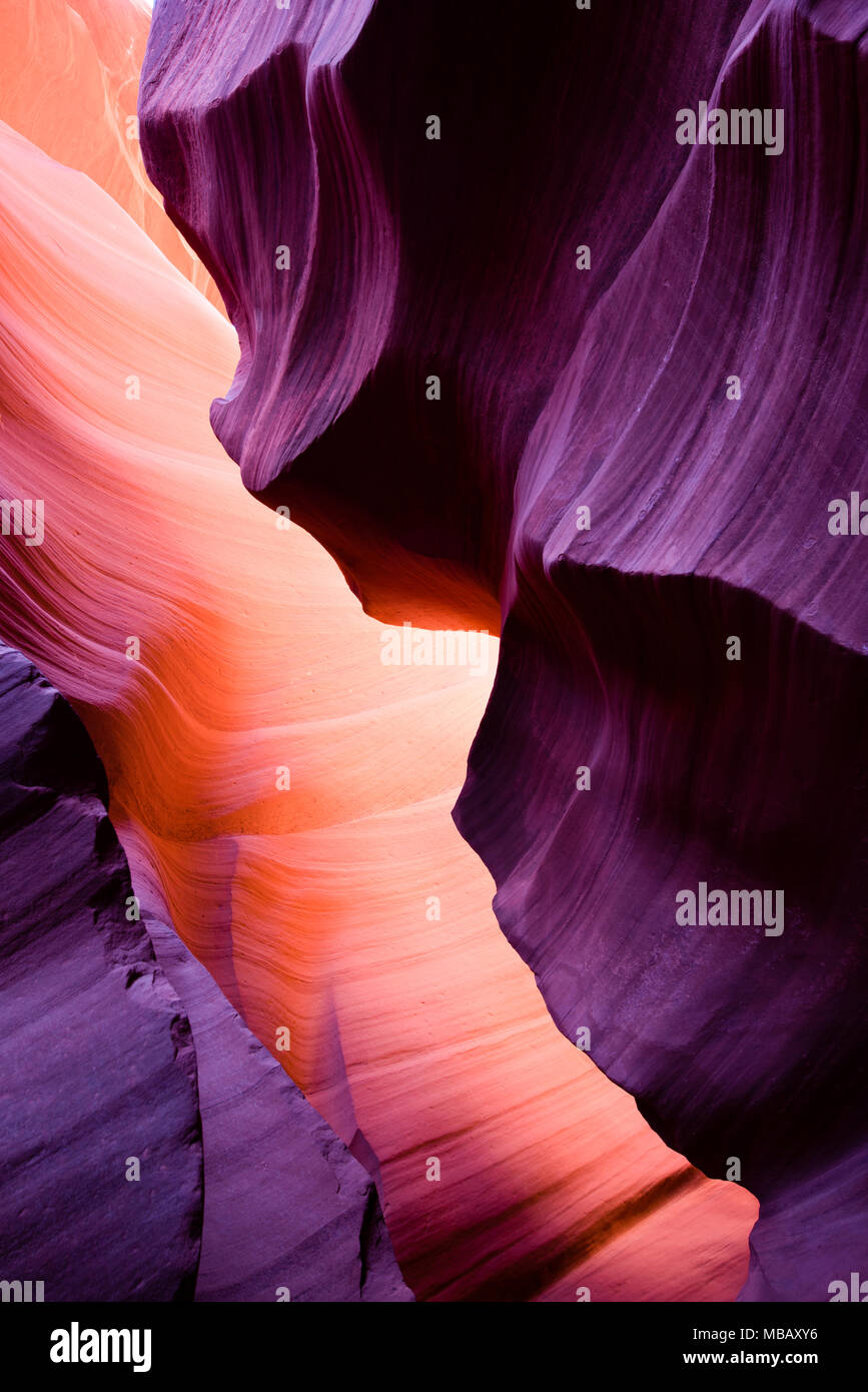 La masterizzazione di onda è un labirinto sotterraneo di arenaria colorata del Basso Antelope Canyon in Page Arizona verso l'avaro di raggi di luce naturale Foto Stock