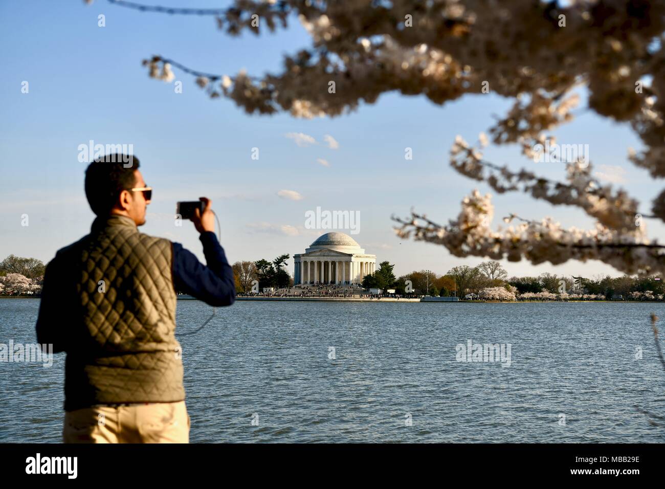 Jefferson Memorial vicino al bacino di marea durante il picco di fioritura dei fiori di ciliegio in Washington DC Foto Stock