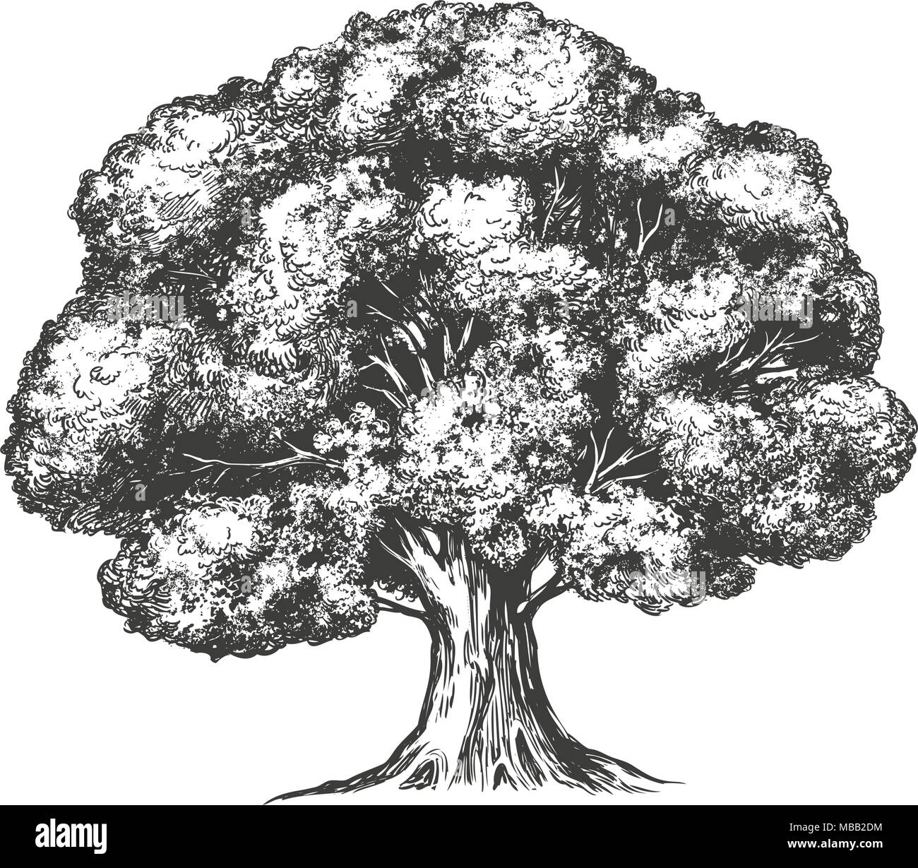 Tree Disegnati A Mano Illustrazione Vettoriale Disegno