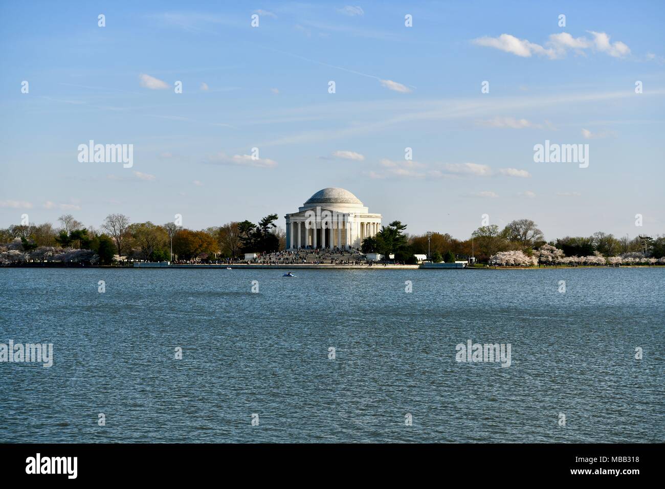 Jefferson Memorial vicino al bacino di marea durante il picco di fioritura dei fiori di ciliegio in Washington DC Foto Stock